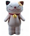 cat mascot costume