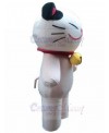 cat mascot costume
