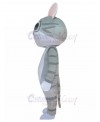 cat mascot costume
