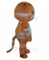 cat mascot costume