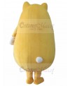 cat mascot costume