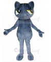 cat mascot costume