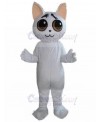 cat mascot costume