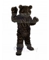 bear mascot costume