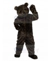 bear mascot costume