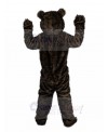 bear mascot costume