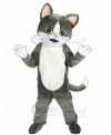 cat mascot costume