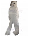 cat mascot costume