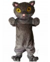 cat mascot costume