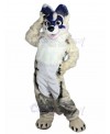 dog mascot costume