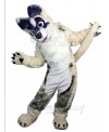 dog mascot costume