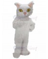 cat mascot costume