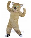 wildcat mascot costume