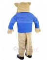 wildcat mascot costume
