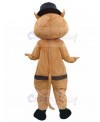 cat mascot costume