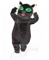 cat mascot costume