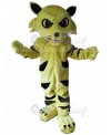 cat mascot costume