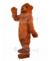 bear mascot costume