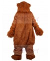 bear mascot costume