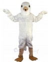 Pigeon mascot costume