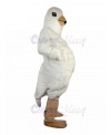 Pigeon mascot costume