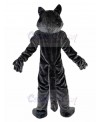 wolf mascot costume