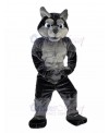 wolf mascot costume