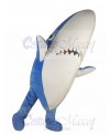 shark mascot costume