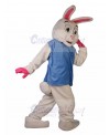 Rabbit mascot costume