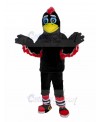 eagle mascot costume
