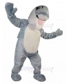 Dolphin mascot costume