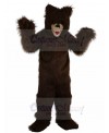 bear mascot costume