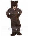 bear mascot costume