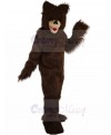 bear mascot costume