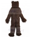bear mascot costume