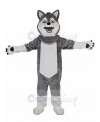 dog mascot costume