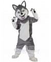 dog mascot costume