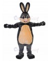 Rabbit mascot costume