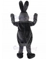 Rabbit mascot costume