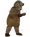 Hedgehog Mascot Costume