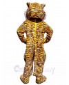 Tiger mascot costume