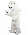 Polar Bear mascot costume