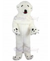 Polar Bear mascot costume