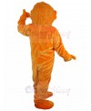 bear mascot costume