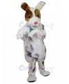 dog mascot costume