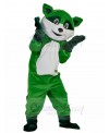 Raccoon mascot costume