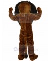 Lion mascot costume