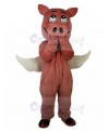 Pig Mascot Costume