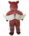Pig Mascot Costume