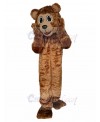 bear mascot costume